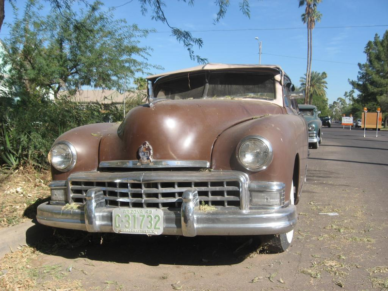 Illustration for article titled Ancient Arizona Kaisers Have Never Experienced Rust, Believe Life Is Eternal